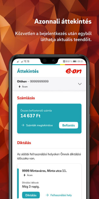 E.ON Hungary’s application