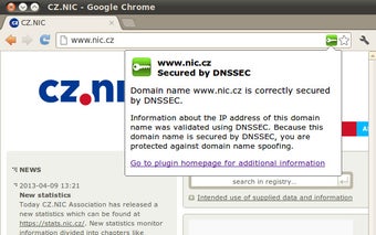 DNSSEC Validator