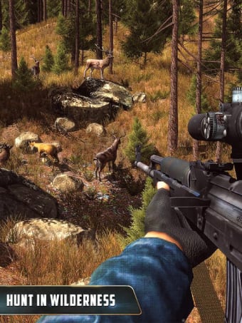 Animal Hunter : Jungle Sniper Shooting