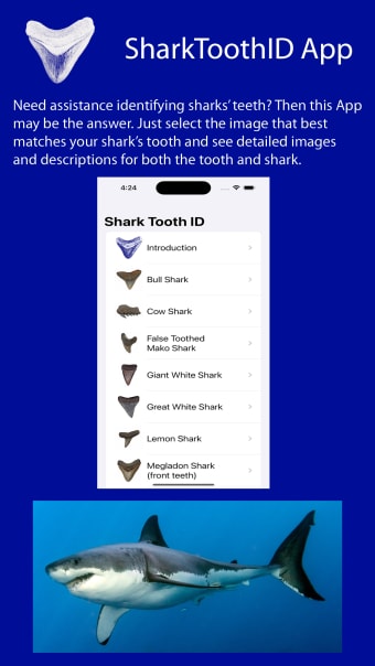 SharkToothID