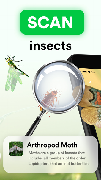 Insect Identifier: Entomology