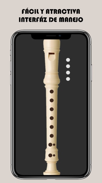 Flauta Dulce: toca melodias