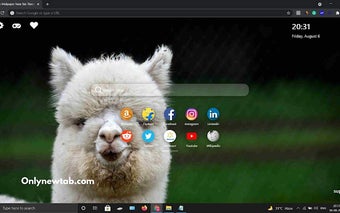 Alpaca Wallpaper New Tab Theme