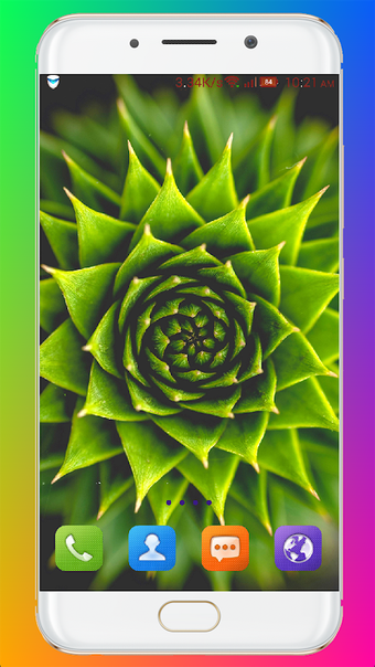 Macro Wallpaper HD APK for Android - Download