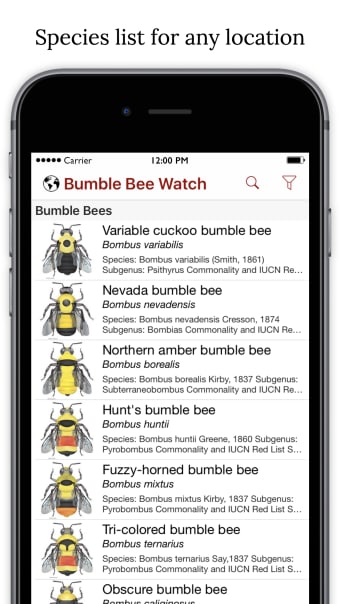 Bumble Bee Watch