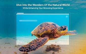 Nature Wallpapers New Tab Theme