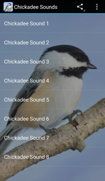 Chickadee Sounds