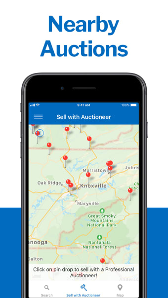 Auctioneer- Auctions