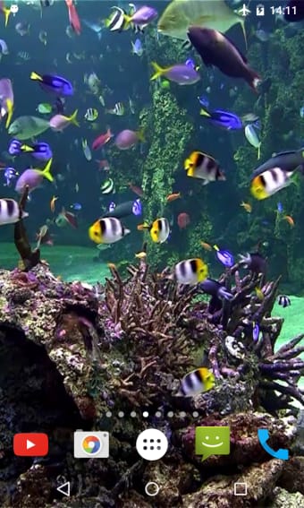 Aquarium 4K Video Wallpaper