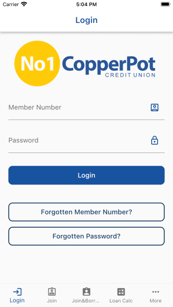 No1 CopperPot