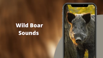 WildBoar Sounds - Hunting call