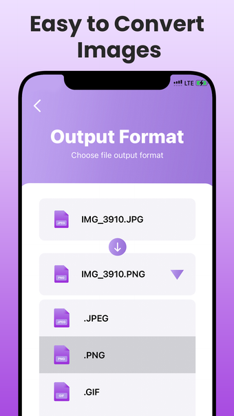 Media Converter - All Formats