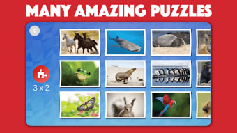 Kids animal jigsaw puzzles