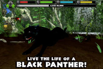 Panther Simulator