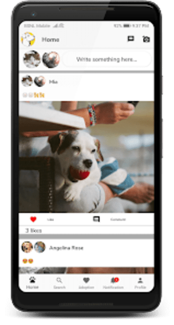 Pets Heaven - Social Media