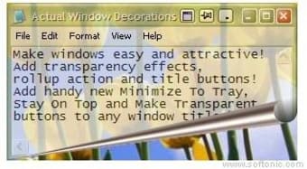 Actual Windows Decorations