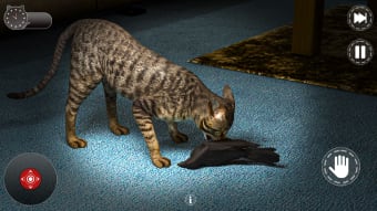 Cat Simulator Scary Pet Game
