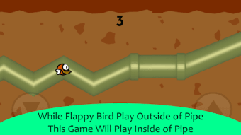 Pipe Bird