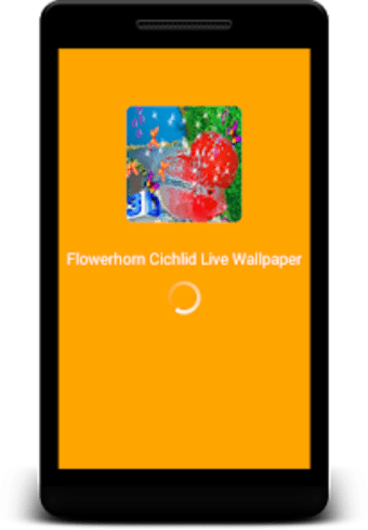 Flowerhorn Fish Live Wallpaper