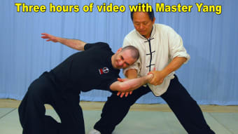 Tai Chi Martial Applications