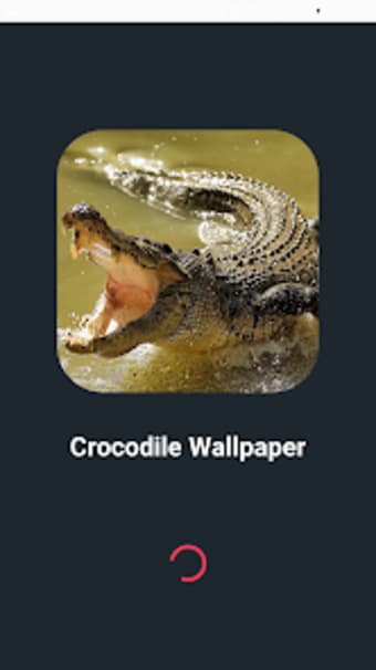 Crocodile Wallpapers