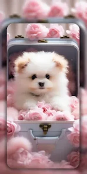 Dog Wallpapers  Cute Puppy 4K