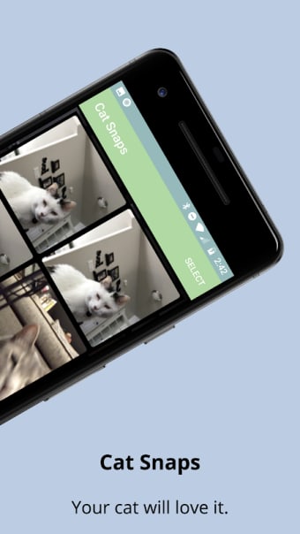 Cat Snaps - Photo Selfies for Cats