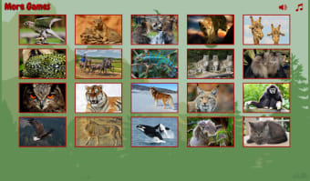 Puzzles for adults animals