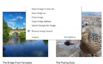 Reverse Image Search