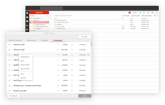 Image 4 for MegaDownloader