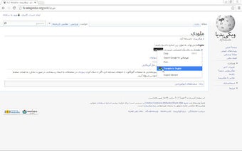 Farsi2Finglish Translator