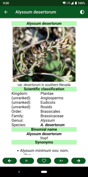 The Medicinal plants and herbs