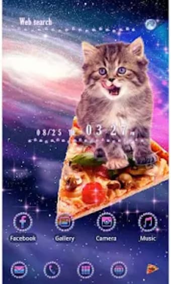Funny Theme-Pizza Space Cat-