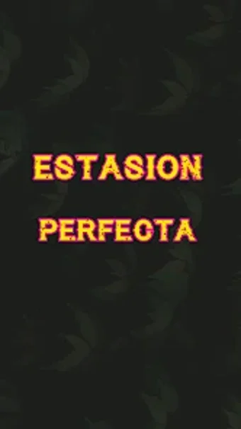 ESTACION PERFECTA