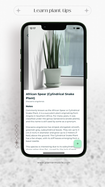 Planter: Plant Notes and Care