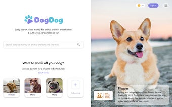 DogDog - feed dogs with every search