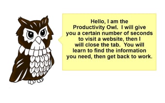 Productivity Owl