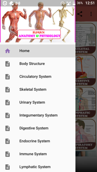 Human Anatomy and Physiology: With Illustrations