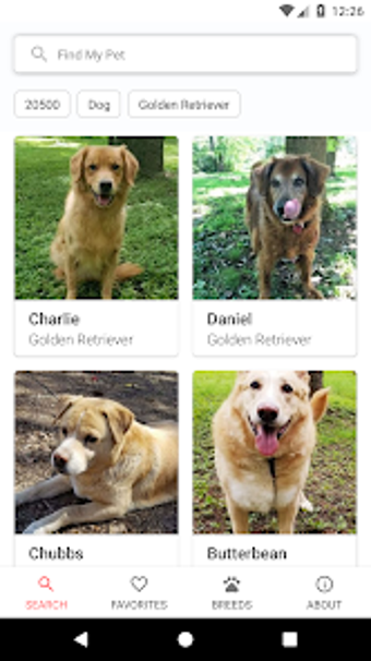 Petdoption - Adopt a rescue an