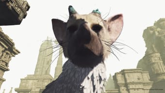The Last Guardian Demo PS VR PS4