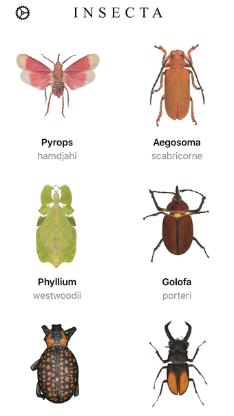 Insecta - Study Insects in AR