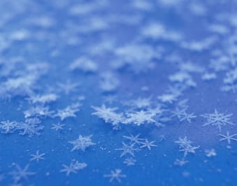 Snowflakes and Frost