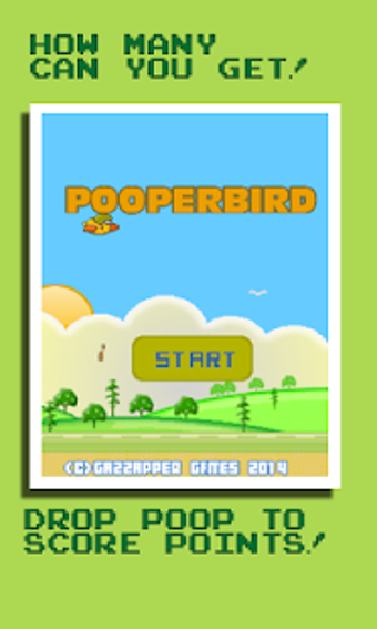 Pooper Bird Arcade Fun Game