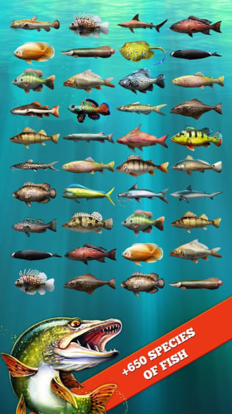 Let's Fish: Sport Fishing Game