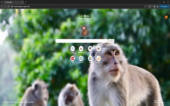 MonkeyTab