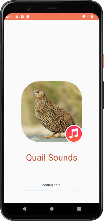 Quail Sounds
