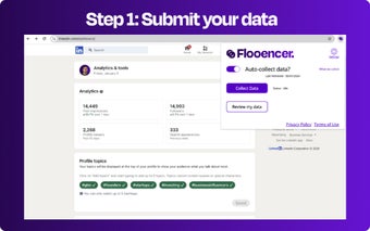 Flooencer Data Analytics