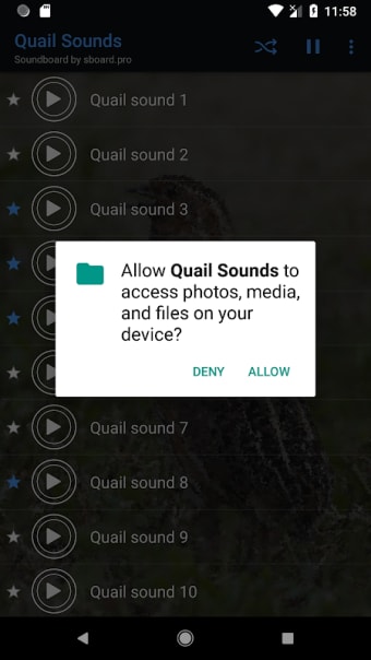 Quail Sounds ~ Sboard.pro