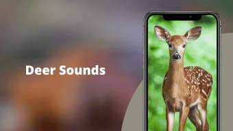 Deer sounds - Hunting Calls