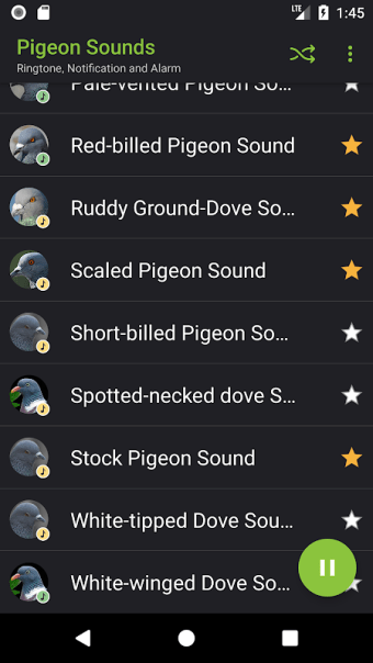 Appp.io - Pigeon Sounds